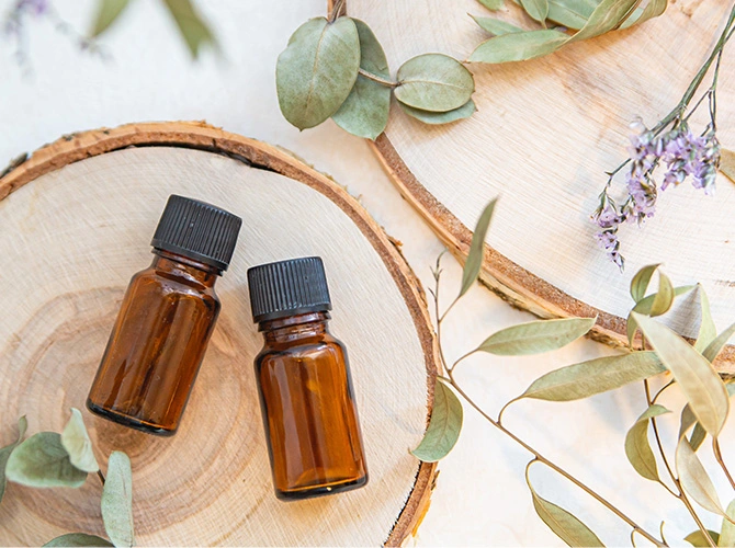 業界の未来を育てる