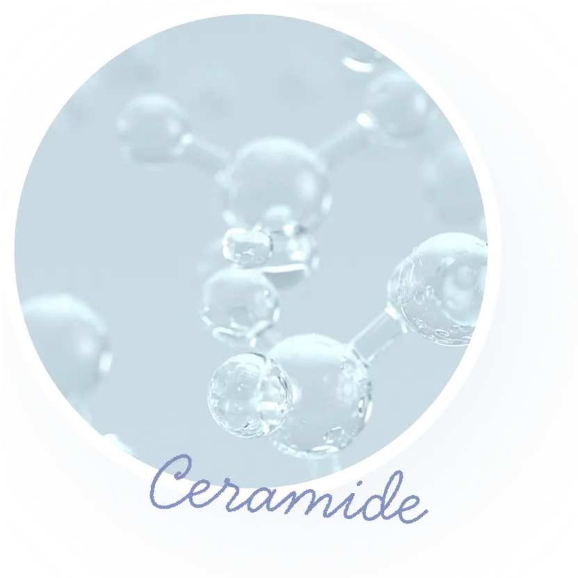 Ceramide